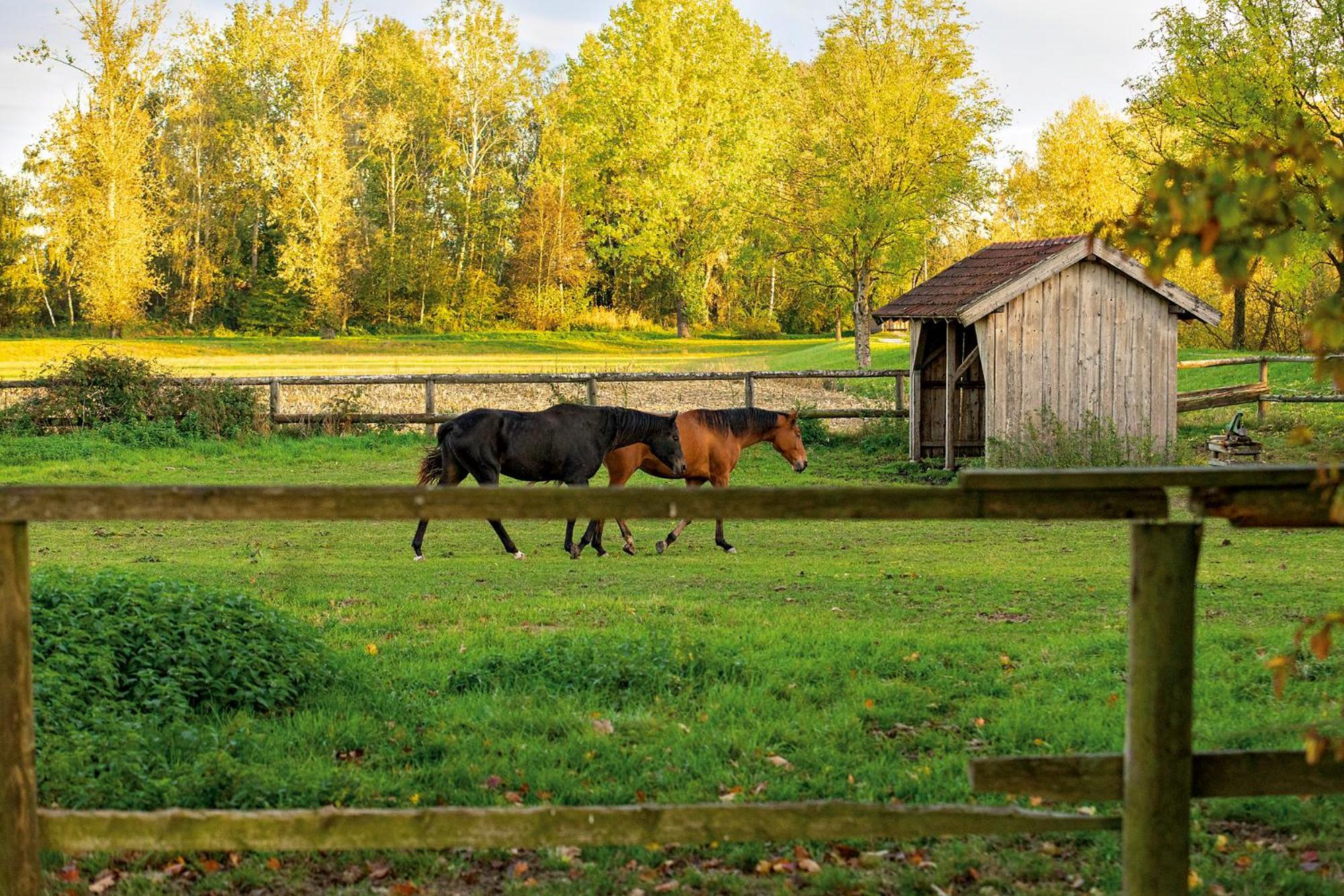 Chalet An Der Brunnader - Ihr Perfekter Rueckzugsort In Der Bayerischen Toskana Bad Birnbach Esterno foto